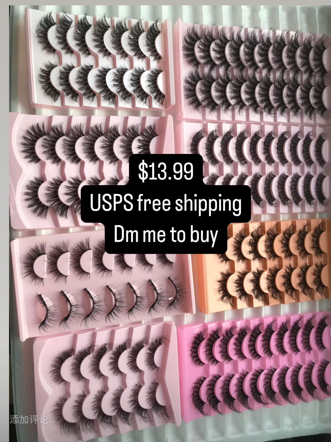 $13.99 for 8 trays lashes