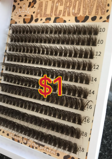 $21.60 for 12 trays lashes